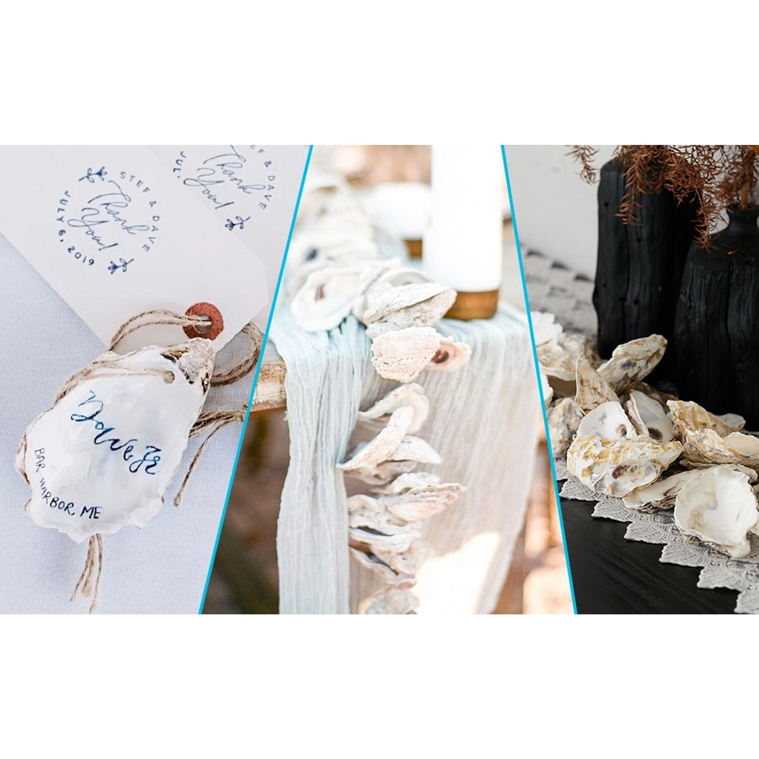 10Pcs 4"-5" Large Oyster Shells for Crafts, Painting, Beach Themes, Wedding, Christmas & Home Decoration - Natural Sea Shells for Crafting