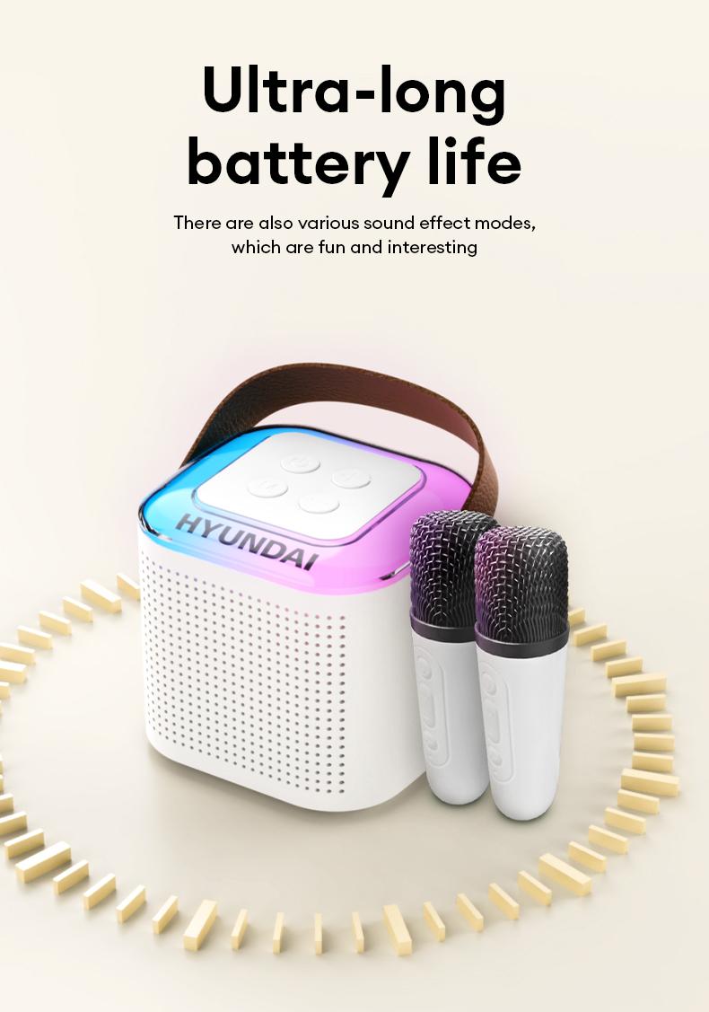 HYUNDAI S13 Portable Wireless Karaoke Bluetooth Speaker With Microphone HIFI Stereo Sound Subwoofers, KTV Speaker Subwoofer With Lighting Effect