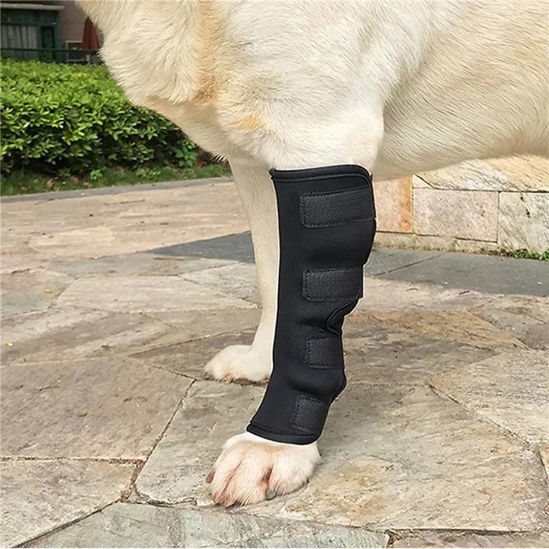 1Pair Pet Knee Support Braces – Hock Joint Wraps For Dog Leg Injury Recovery & Mobility Protection 