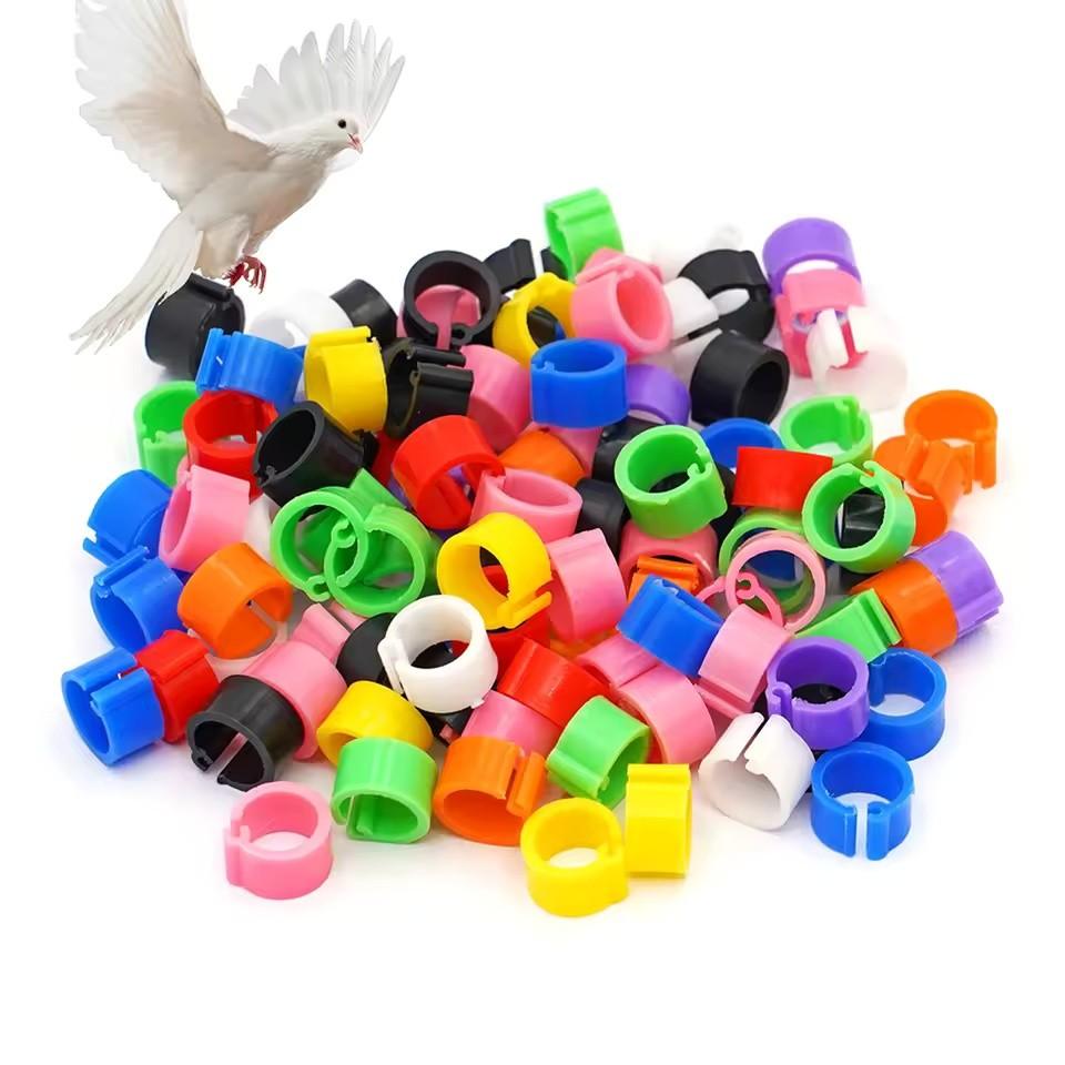Colorful Parrot Pigeon Foot Rings Set of 50, No-Word Identifier Bands, Bird Training Tools, Plastic Anti-Drop Feet Clips, Pet Bird Accessories