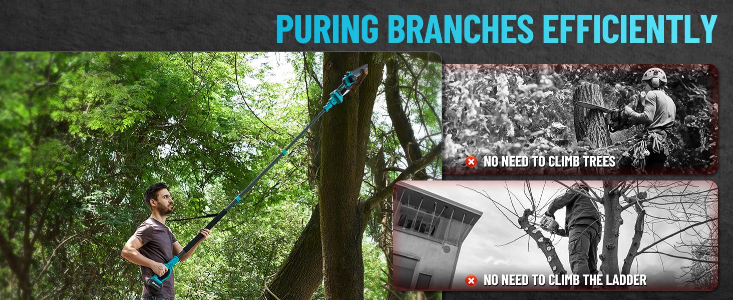 SeeSii 2-IN-1 Cordless Pole Saw & Mini Chainsaw, 8-inch Electric Saw Brushless with 2 * 4.0Ah Battery, 16-Foot MAX, Chain Saw with Extension Pole for Wood Cutting Trimming Branch CH810 #TikTokShopBlackFriday