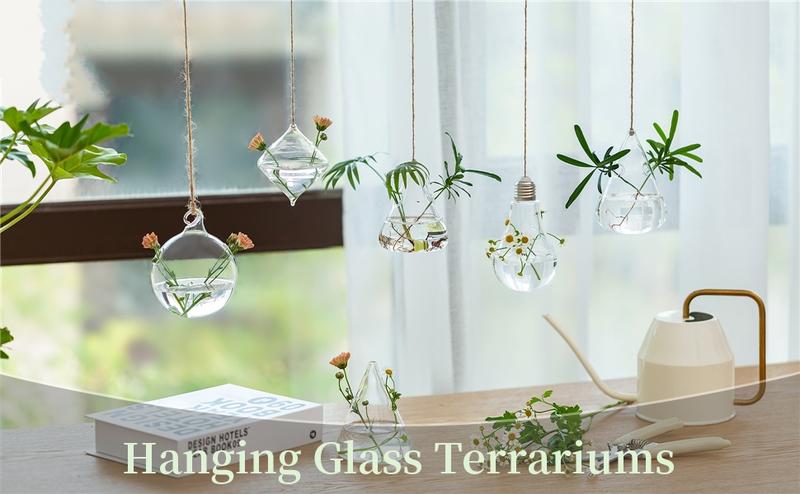 Nuptio Set of 5 Hanging Modern Planters, Glass Terrarium, Plant Propagation Stations Hydroponic Wall Vases for Air Plants Flowers Indoor Window Home Decor