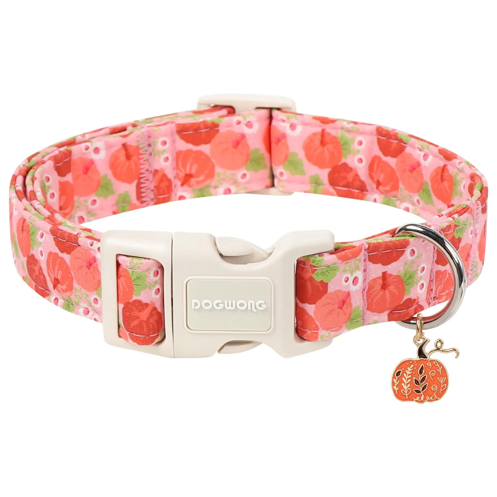 Z:Pink Daisy Pumpkin