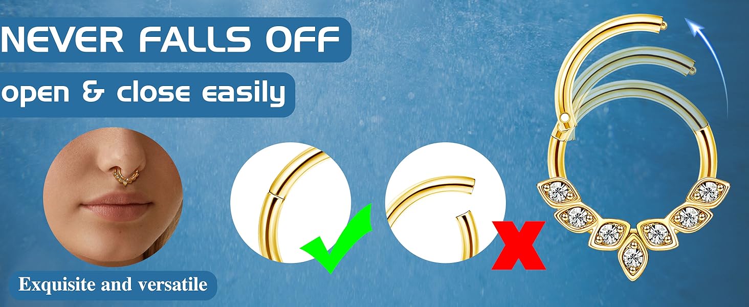 5 PCS 16G Nose Rings Hoops, Steel Earrings Tragus Septum Piercing CZ Clicker Septum Ring Hinged Segment Septum Conch Lip Helix Cartilage Hoops 8mm for Women Men