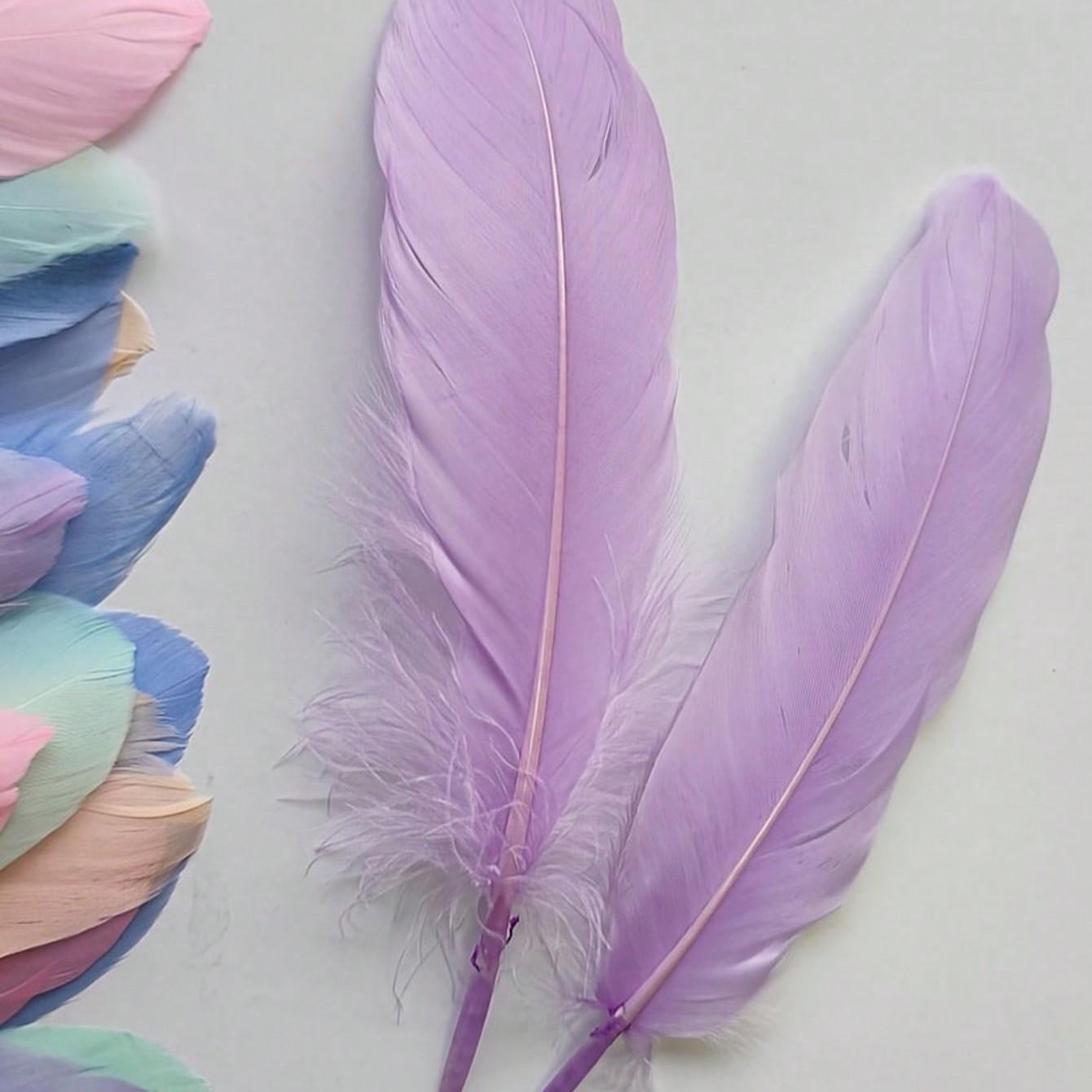 5/10/15pcs Multicolor Artificial Feathers, Premium Colorful Feathers for Dreamcatchers, Clothing Accessories, DIY Crafts, Wedding Decorations
