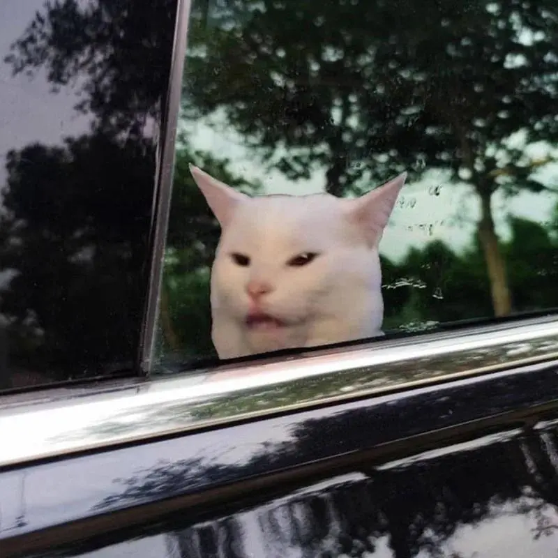 1PC Funny Cat Waterproof Vinyl Stickers For Motorcycle Side Panel Fuel Tank Helmet Car Scooter Window Decor