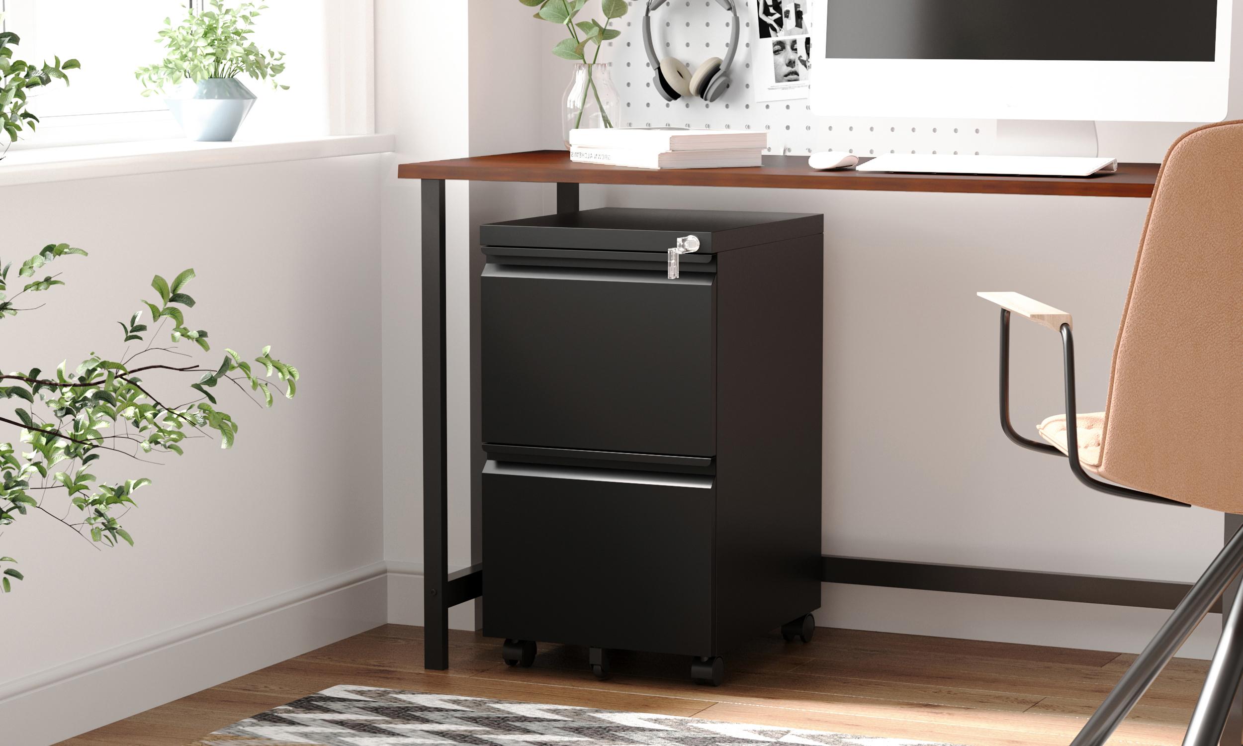 Letaya 2 Drawer Mobile File Cabinet with Lock,Under Desk Metal Filing Cabinets for Home Office Organizer Letters/Legal/A4(Required Assemble)