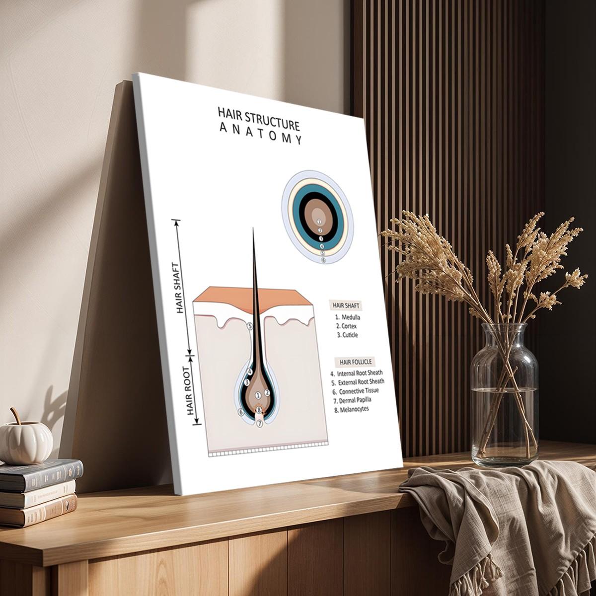 Hair type guide canvas art, wooden framed wall decoration, featuring hair growth cycle charts, damaged hair condition charts, hair anatomy diagrams, and curly hair charts, suitable for hair salon decoration.