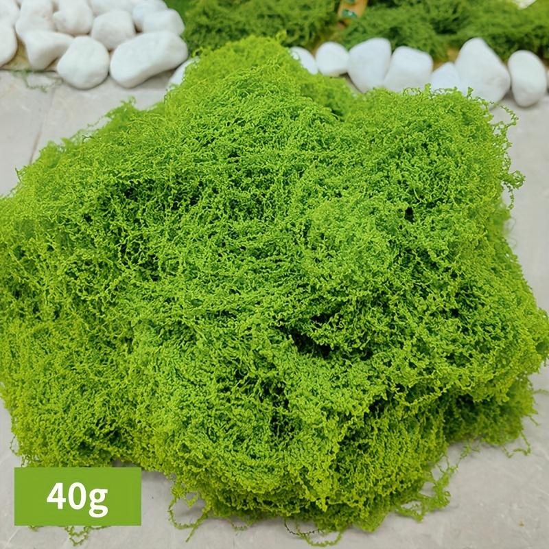Preserved Sheet Moss, Natural Green Decorative Moss for Plant Walls, Terrariums, Home Decor & Crafts, Long-Lasting No-Water Artificial Moss