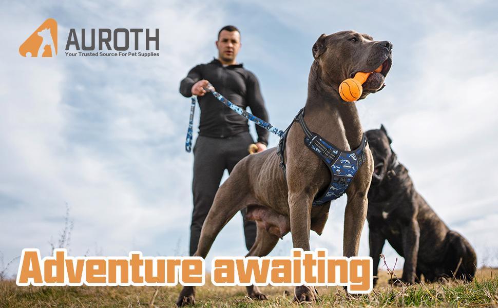 【AUROTH】 Dog Leash , Heavy Duty Dog Leash Bungee, No Pull Dog Leash for Shock Absorption, Dog Training Leashes for small Medium Large Breed Dogs 6FT, 2 Padded Handles，cat leash