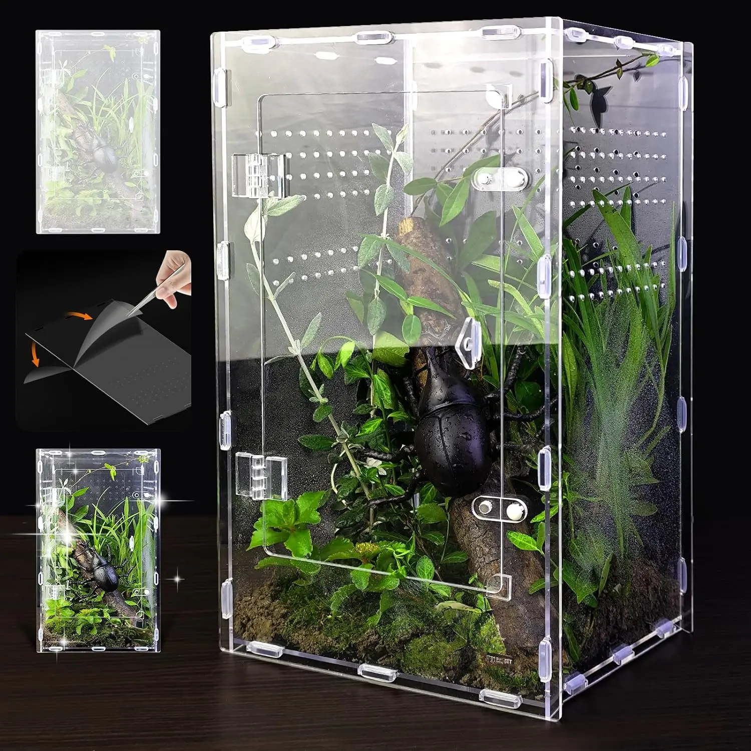Acrylic Jumping Spider Enclosure, Clear Insect Terrarium and Habitat for Spiders, Mantises, Tarantulas and Frogs