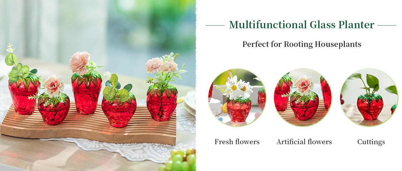 Cute Strawberry Vase for Flowers: Unique Plant Propagation for Home Kitchen Bathroom Office Housewarming Valentine's gift Galentine Party Centerpieces
