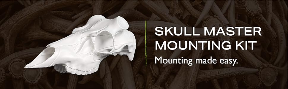 Skull Master by Illusion| Color: Respect Flag| European Mount| Antler Mounting Kit| Euro Mount| 3D Modeled Replica Deer Skull| Taxidermy| for Harvested and Shed Antlers| Universal Sizing