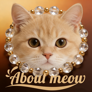 About meow