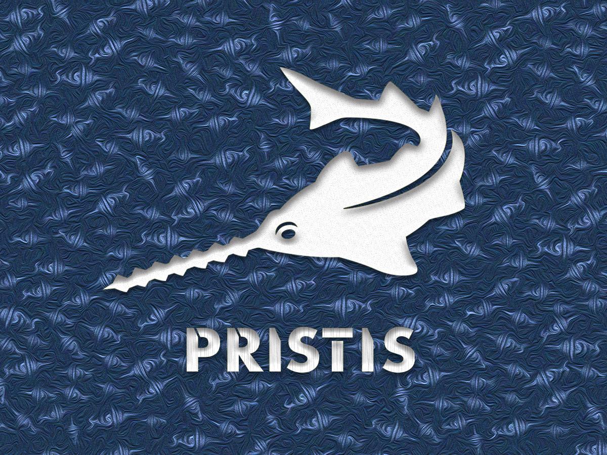 Pristis 3pcs Float Pencil Poppers, Topwater Fishing Lures for Saltwater & Freshwater, Floating Bait with Delicate Coating, Stick Plopper Hooks, Long Cast Walkers for Tuna Perch Striped Bass Trout