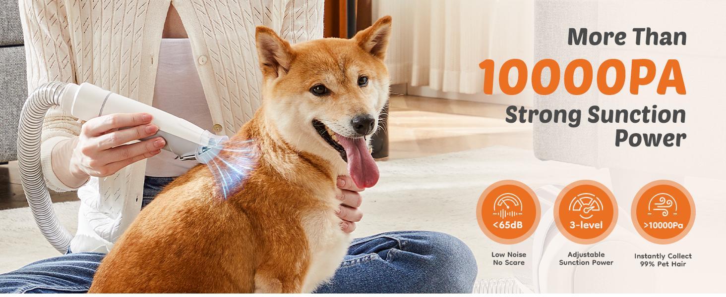 RIMIKING Pet Grooming & Cleaning Kit,Cleaning Tools,Grooming Clipper,Large Dust Cup,Quiet Operation,TMQ5N1 RIMIKING Pet Grooming & Cleaning Kit,Cleaning Tools,Grooming Clipper,Large Dust Cup,Quiet Operation,TMQ5N1