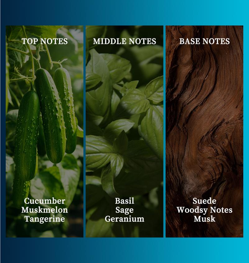 3-Piece Set,Men's Eau De Toilette Spray, Long-Lasting Perfume,Cologne Masculine Fragrance, With 3 Different Scent Perfect For Dating, Daily Life, Parties, Gift Giving And Various Festivals