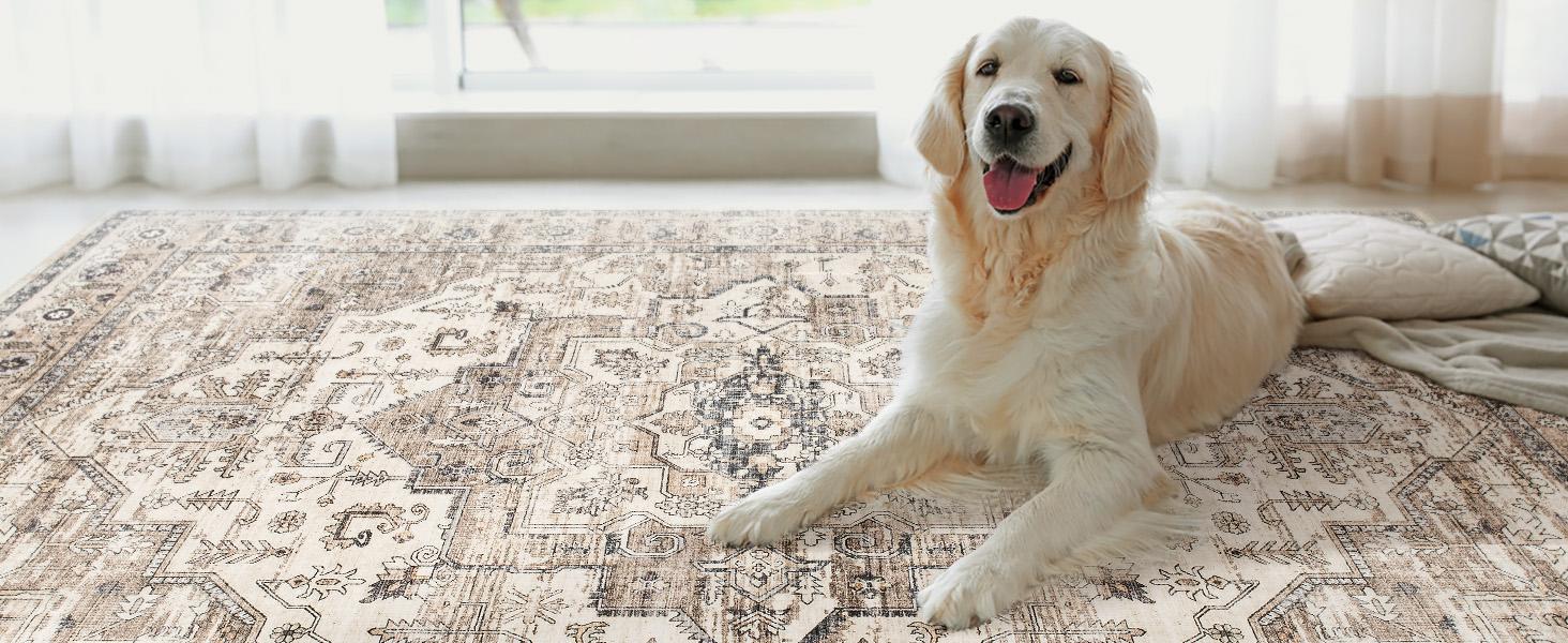 Area Rug 5x7 Washable Vintage - Soft Rugs for Living Room Large Non Slip Backing with Low Pile Farmhouse Oriental Retro Carpet for Bedroom Dining Room or Home Office - Tea Brown