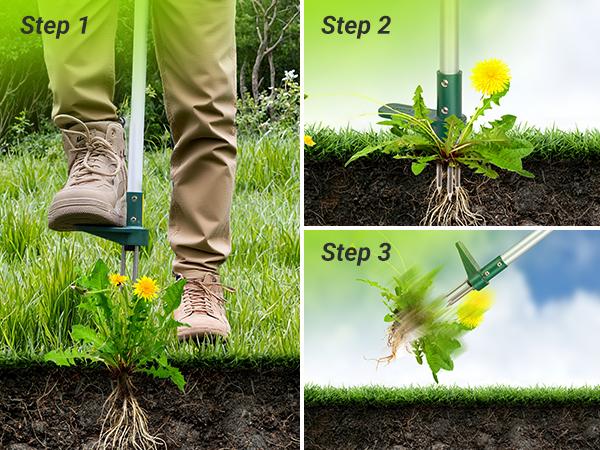 Walensee Stand-Up Lawn Root Puller for Dandelions & Deep-Root Plants — No-Bend Design, Perfect for Homeowners & Fall Yard Care, Black Friday Deal