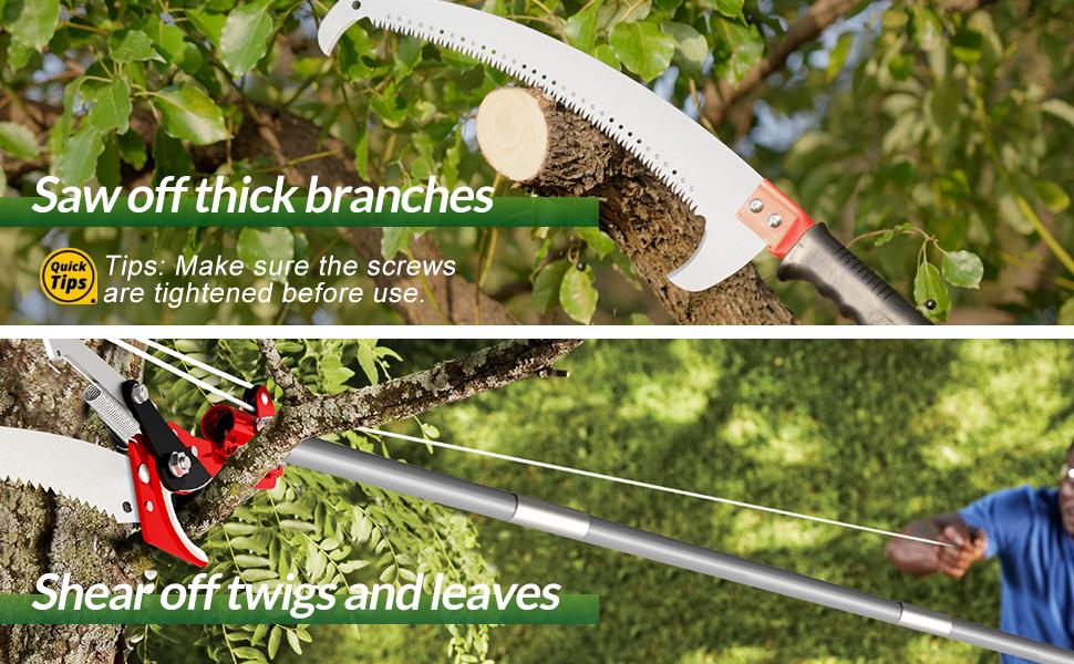 Walensee Pole Saw for Tree Trimming, Lightweight Manual Stainless Steel Extension, High Reach Pruning Tool for Branch Trimming and Cutting in Forestry, Yard, Garden, and Patio