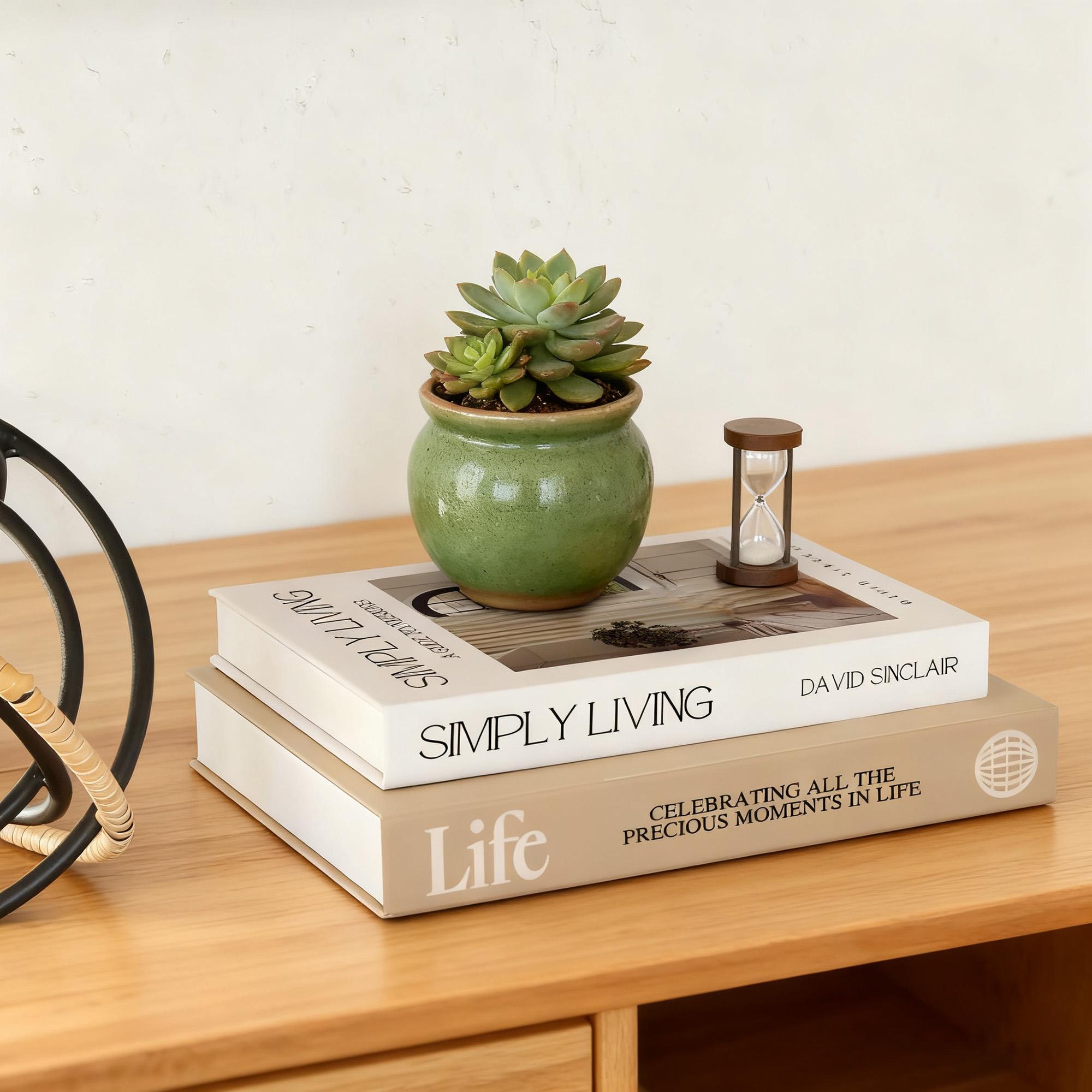 High-Quality Paper Decorative Fake Books Set of 2, Coffee Table Bookshelf Fireplace Shelf Decoration, Modern Home Decor Accents, Home Decor Accessory