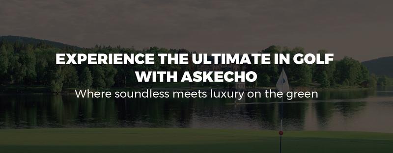 Ask Echo Golf Prestige-14 Way Full Length Hybrid Leather Stand Bag