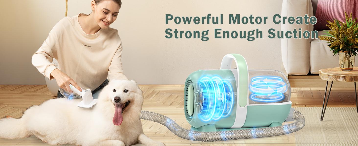 Afloia Dog Grooming Kit, Pet Grooming Vacuum & Dog Clippers, Nail Grinder Trimmer & Dog Brush for Shedding with Vacuum Grooming Tools, Low Noise Dog Vacuum Hair Remover Pet Grooming Supplies Green Portable Afloia Dog Grooming Kit, Pet Grooming Vacuum & Dog Clippers, Nail Grinder Trimmer & Dog Brush for Shedding with Vacuum Grooming Tools, Low Noise Dog Vacuum Hair Remover Pet Grooming Supplies Green Portable