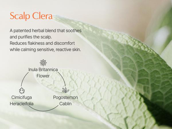 Lilyeve Growturn Hair Growth Serum with Built in Brush for Hair Growth & Thickening Lilyeve Growturn Hair Growth Serum with Built in Brush for Hair Growth & Thickening