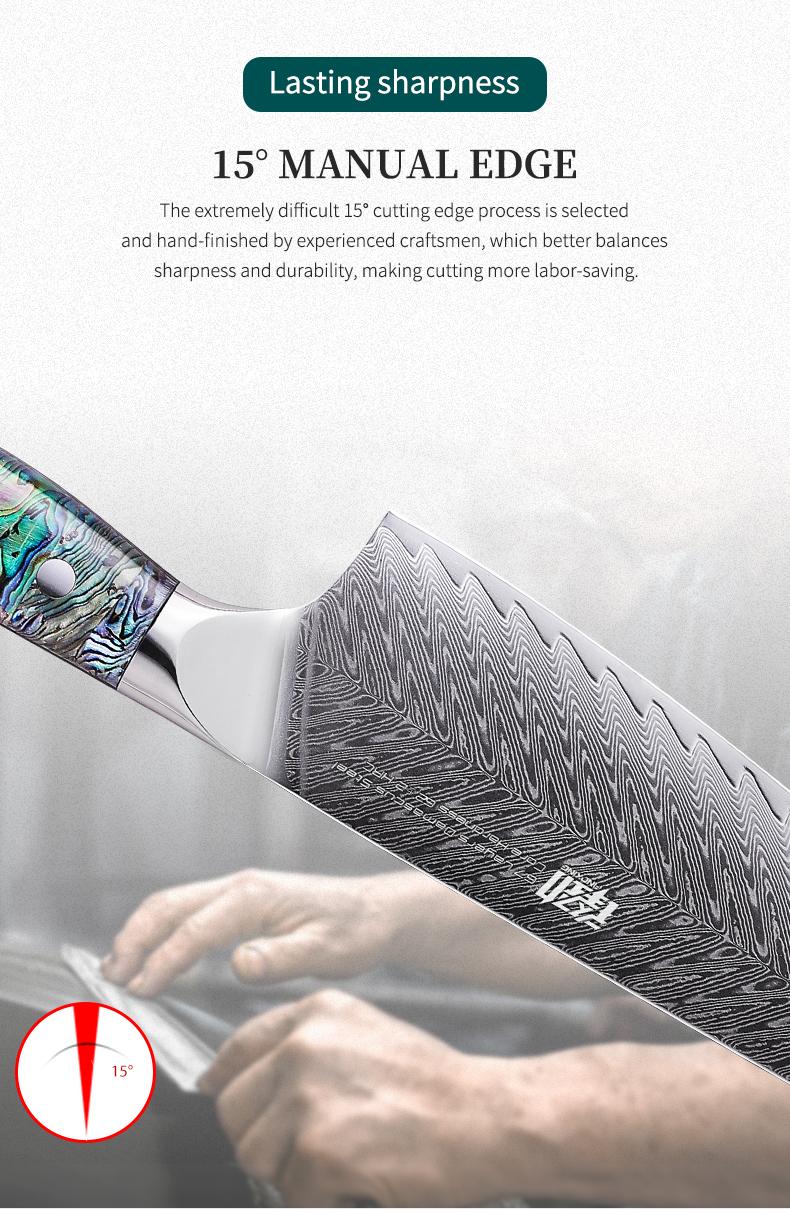 FINDKING 8 Inch Gyuto Chef Knife, Professional Japanese 67 Layers Damascus Steel Kitchen Knife, Resin Abalone Shell Handle, Razor Sharp Professional Meat Cutting Knife with Gift Box for Family, Restaurant, Cutting Vegetables, Meat and Fruits for Kitchen