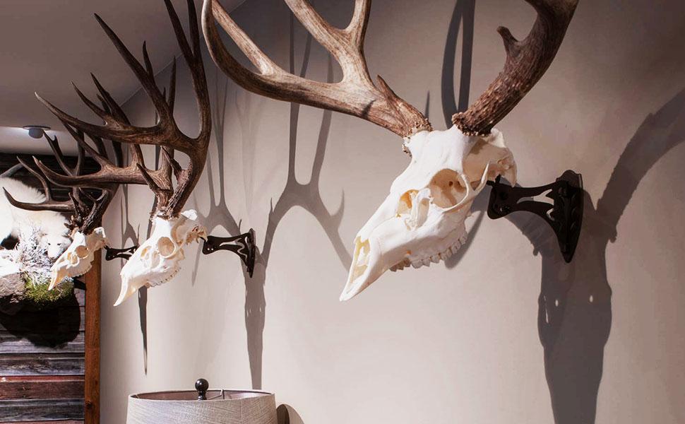 Skull Hooker XXL Bone Bracket Large and XL Game