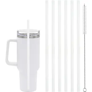 Replacement Straw for Cup with Cleaning Brush for Accessories