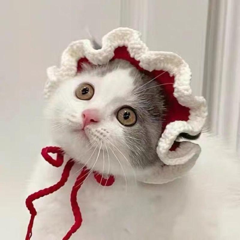 Cute Pet Hat for Cats and Dogs, Adorable Cat Hat, Fun Dog Hat, Perfect Accessory for Your Furry Friend, Stylish and Comfortable Clothing