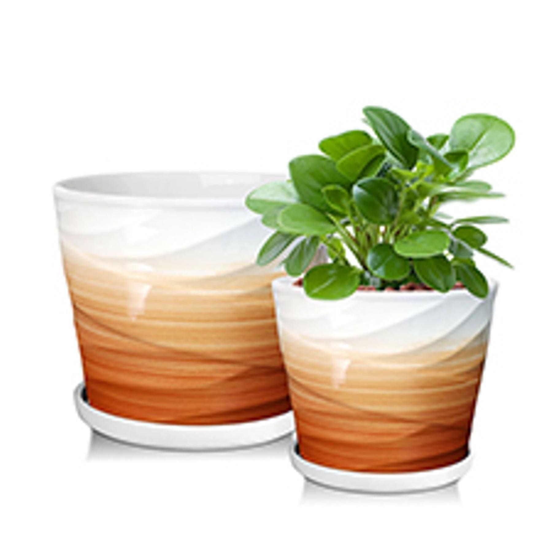 8 Inch Plant Pot,Ceramic Planter with Drainage and Saucer,Ceramic Pots for Plants,Indoor Plant pots,Ceramic Flower pots(Pure White)
