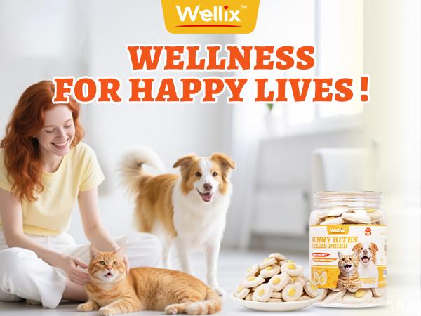 【Live Big Deal】Wellix Sunny Bites – Healthy Chicken&Egg Yolk&Pumkin Freeze-Dried Treats for Cats & Dogs, 3.5oz