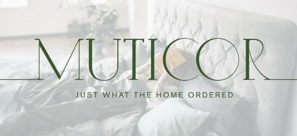 MUTICOR Metal Bunk Bed Twin Over Full Size, 【Frame Only No Mattress】Heavy Duty Sturdy Frame with 12" Under-Bed Storage for Teen & Adults #TikTokShopBlackFriday #ChristmasGifts MUTICOR Metal Bunk Bed Twin Over Full Size, 【Frame Only No Mattress】Heavy Duty Sturdy Frame with 12" Under-Bed Storage for Teen & Adults #TikTokShopBlackFriday #ChristmasGifts