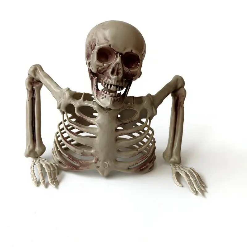 Halloween Decoration 40cm Skull Half Skeleton, 90cm Full Skeleton Horror Bone Ornament, Ghost House Props for Halloween Party