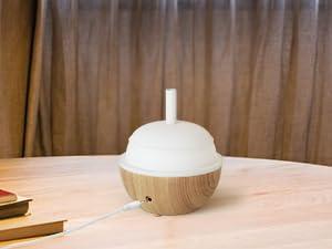 Essential Oil Diffuser, 100ml Small Aromatherapy Diffuser with Auto Shut-Off Function, Ultrasonic Diffusers for Essential Oils, Cool Mist Humidifier with Warm White Lights, for Office Home
