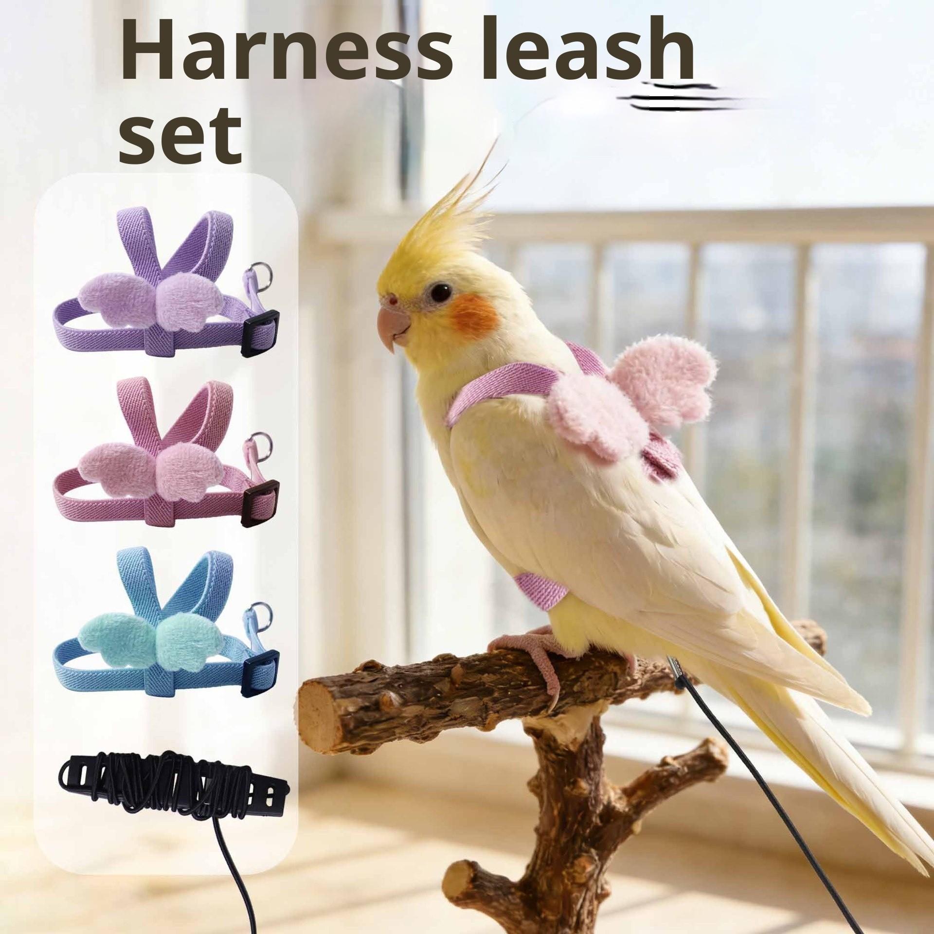 Adjustable Parrot Harness Leash Set, Suitable for Budgies, Lovebirds, Sun Conures, Small Pet Bird Training Kit, Comfortable & Secure
