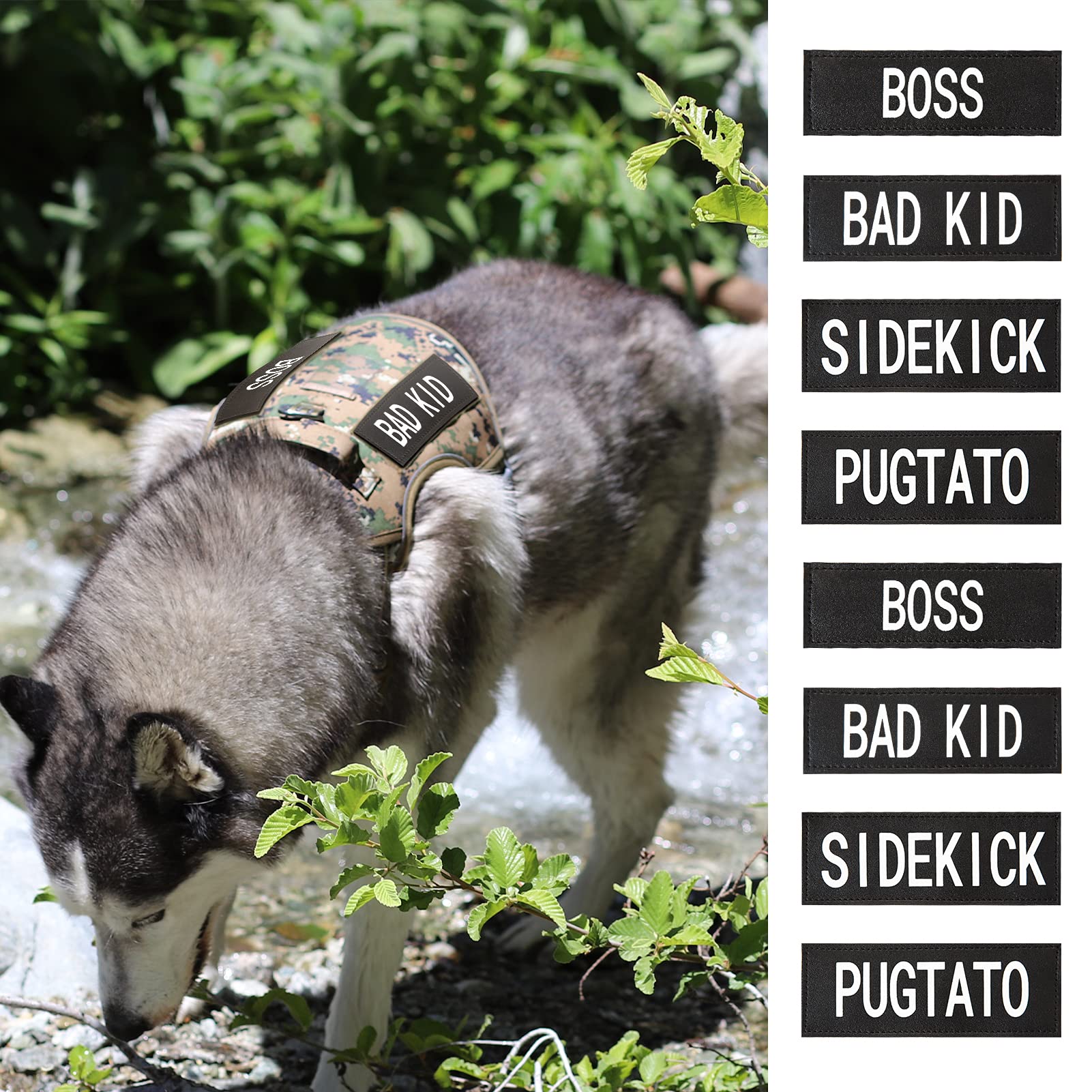 AUROTH Service Dog Patch 10 Pieces, Dog Vest Patches Service Dog in Training Patches, Reflective and Removable Dog Harness Patches for Service Dog Vest