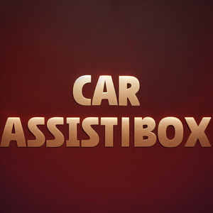 Car Assist Box