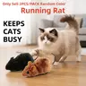 Cat and Small Dog Clockwork Mouse Toy - No Battery Required Running Automatic Robot Pet Chasing Game, Durable Plastic Clockwork Sports, Indoor/Outdoor/Outside Interactive Hunting, Easy Cleaning Random Colors (None/Easy Winding)