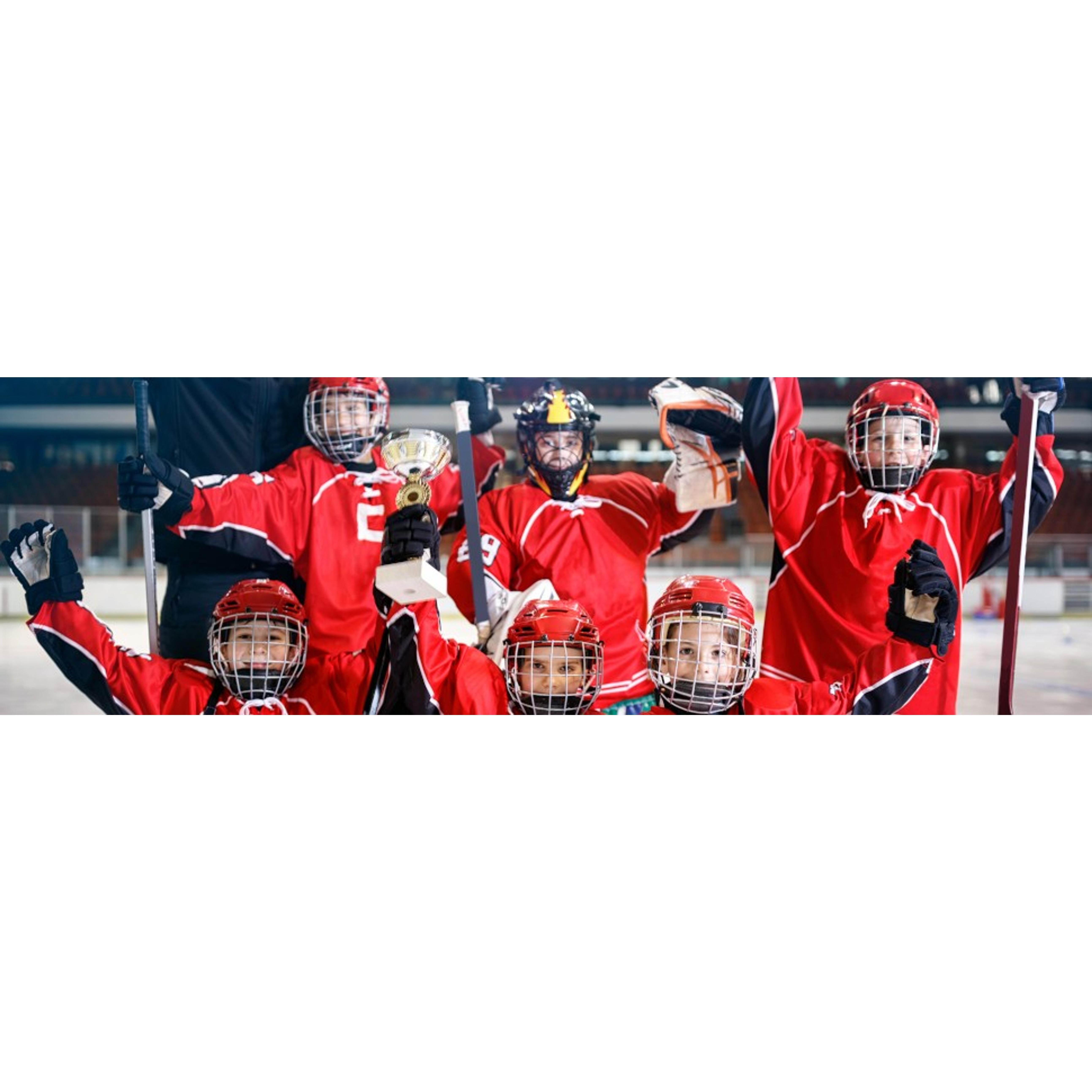 Rib Knit Ice Hockey Socks- Youth and Adult Sizes- Made in the USA Rib Knit Ice Hockey Socks- Youth and Adult Sizes- Made in the USA