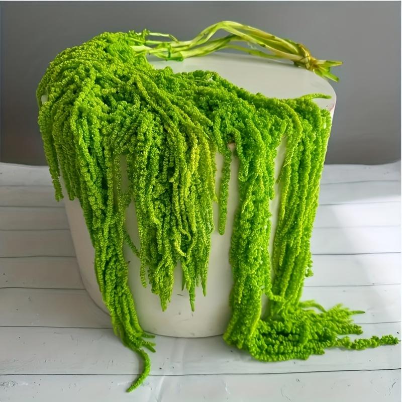 10 Artificial Amaranth Flowers - Elegant Green Wisteria Hanging Flowers, Suitable for Bohemian Home, Pie, Wedding Center, Christmas, Valentine's Day, Outdoor Garden Decoration, Photography Props, Bridal Bouquet Accessories, Wedding Center Decoration