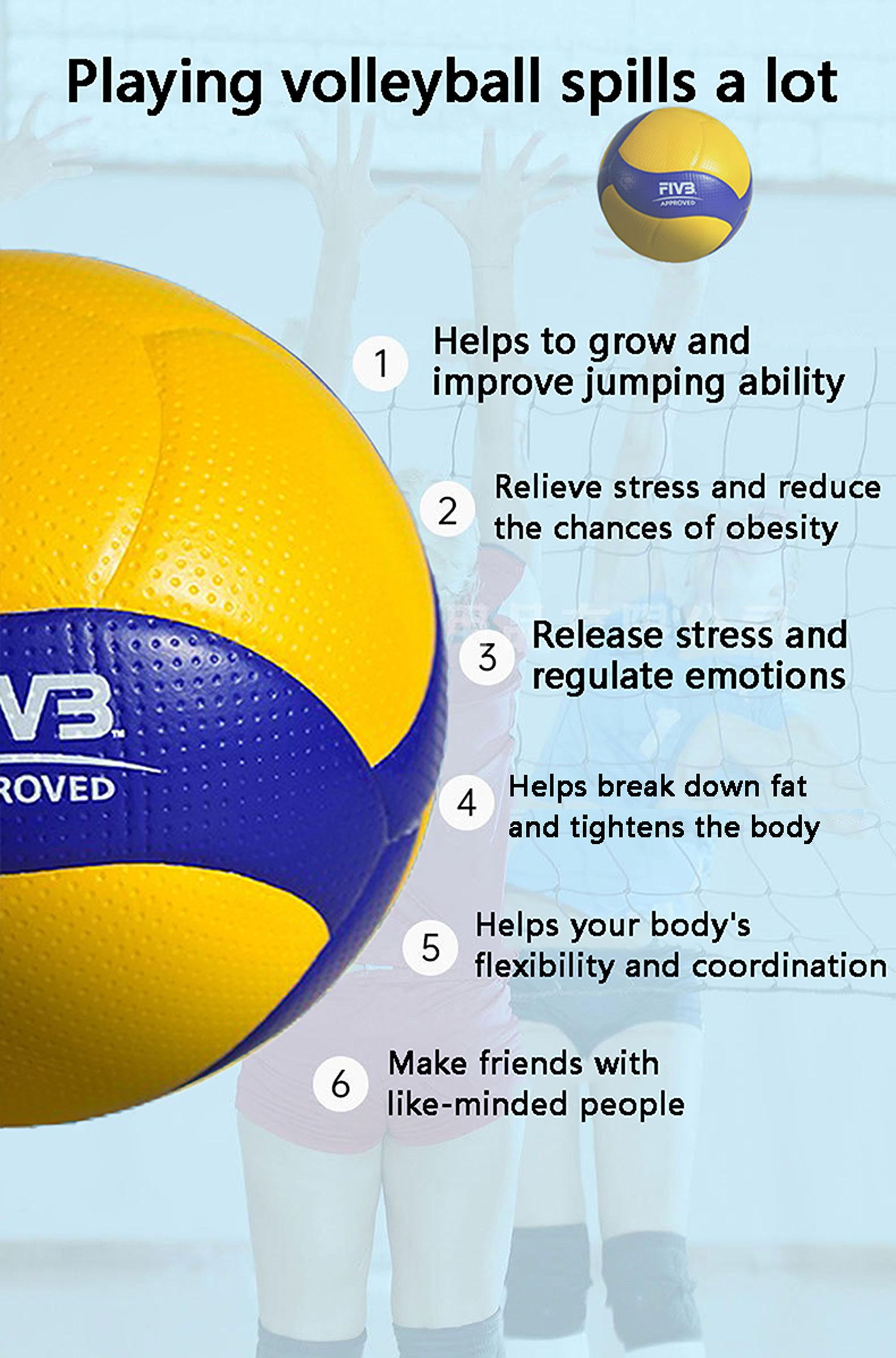Professional Training Volleyball, Team Purchase Essential, Soft Touch, Stable Bounce, Ideal for School Teaching and Professional Matches