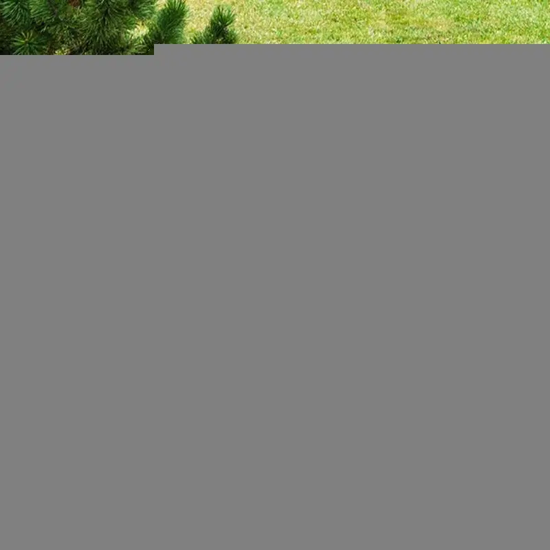 Garden Rooster Statue Chicken Sculpture For Yard Decor Weatherproof Hen Figurine