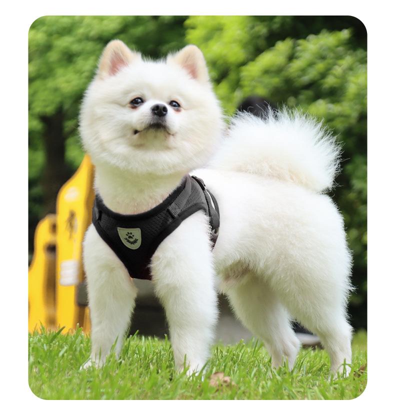 Adjustable Vest-Style Pet Harness with Leash - Reflective Safety, Breathable, Choking Prevention Harnesses for Outdoor Walking Dogs and Cats