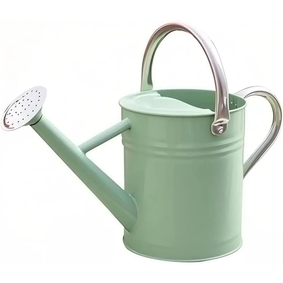 Metal Watering Can, One Gallon Watering Cans Stainless Steel for Outdoor Indoor Garden Plants Watering (Cream Green)