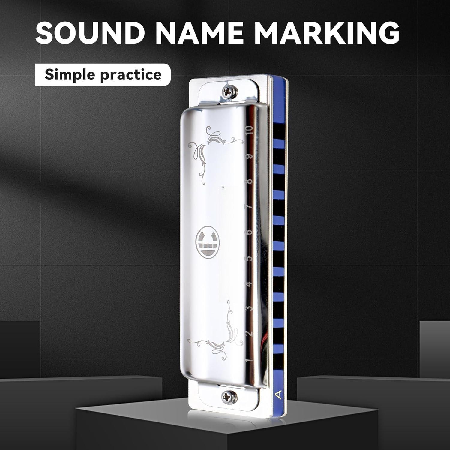 Blues Harmonica for Adult Beginners 10 Hole Diatonic Harmonica in A Key Phosphor Bronze Sound Spring Mouth Organ with Case, Key of A Stainless Steel