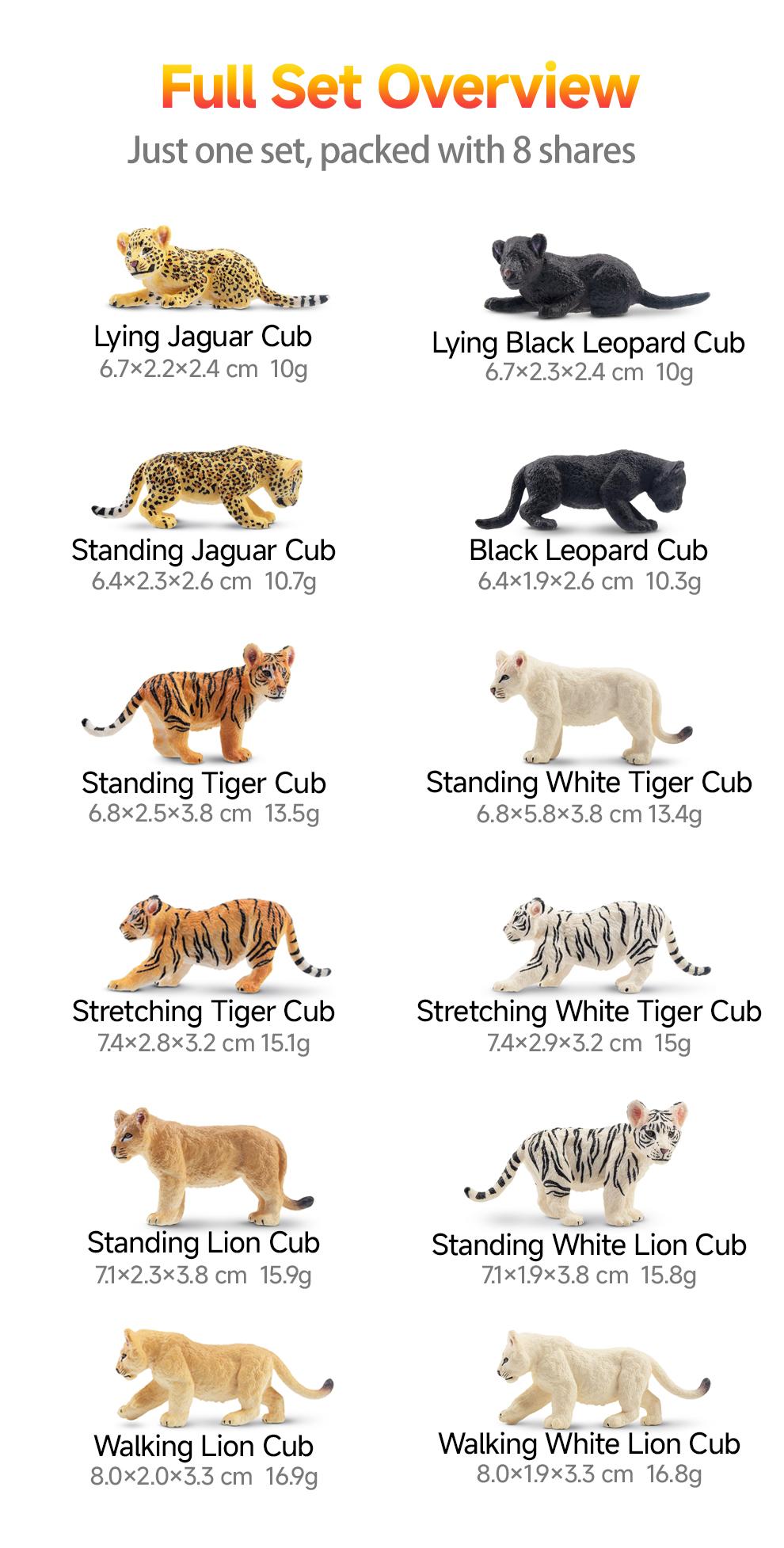 TOYMANY 12-Piece High-Emulation PVC Safari Animal Figurines Set, Zoo Collectibles (Lions, Tigers, Leopards), Toys for Kids Age 3+, Easter Egg Cake Toppers, Christmas Birthday Gift