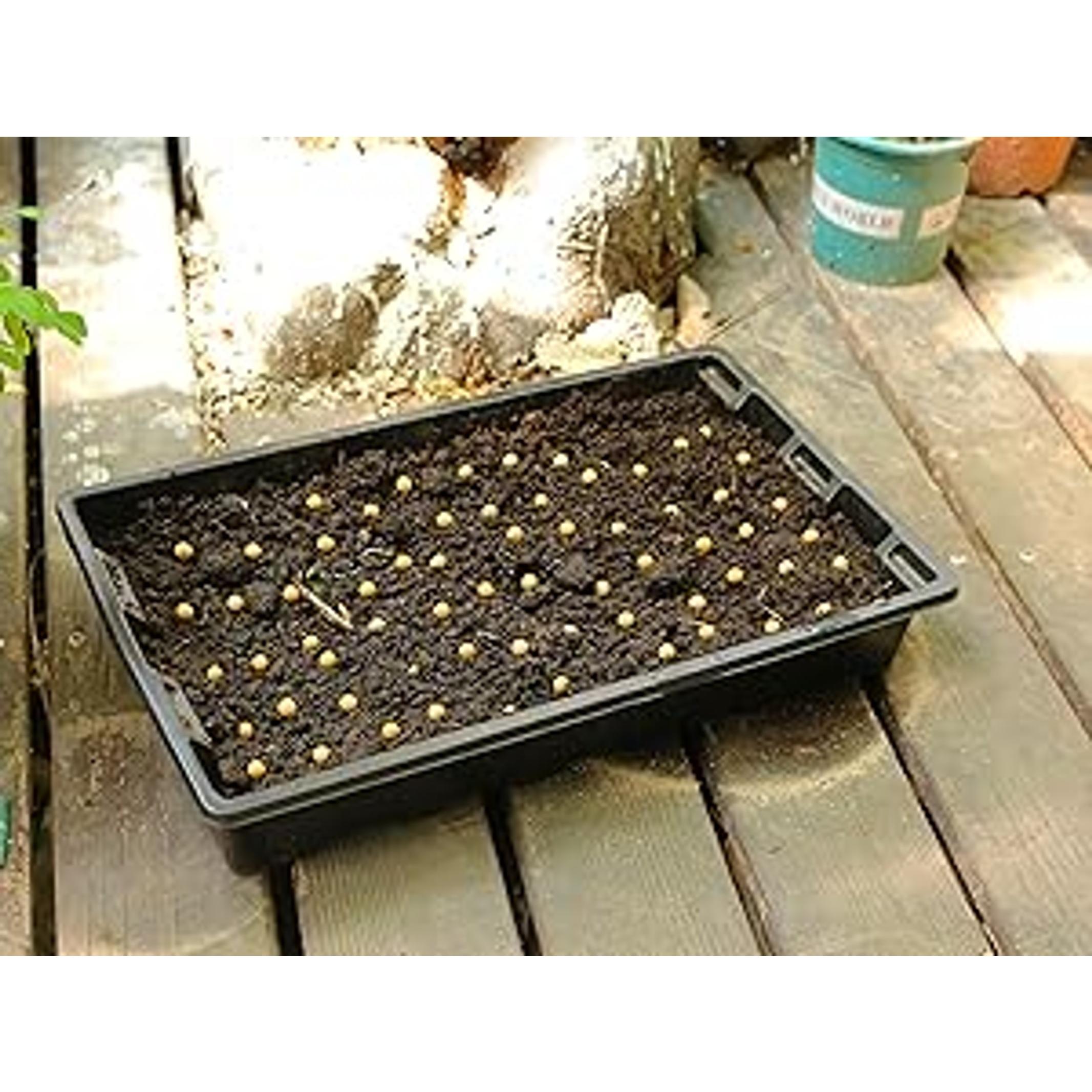 10 Pack Seed Trays, Reusable Plant Grow Trays, Ideal for Seed Starting, Microgreens, Indoor Gardening, and Greenhouse Nurseries - No Drain Holes, 14.5"x9"